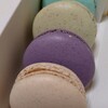 Laduree Nihonbashi Ten - マカロン（395円/1個）