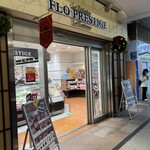 FLO PRESTIGE Mitaka Atorevi Ten - 