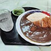 猿羽根山ドライブイン - 料理写真:見よ❗食品サンプルのようなカツカレー、多分これが正しいカツカレーの図です。