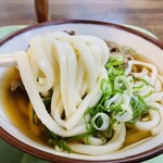 Sankaku Chaya Toyokichi Udon Jr Miyazaki Ten - 肉うどん