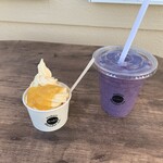 Blender ice WAKA - 左：温州ミカンアイス５００円　右：ブルーベリースムージー４５０円