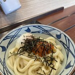 Marugame Seimen Kumamoto Sadohara Ten - 