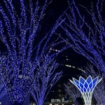 Fukuoka Christmas Market HAKATA - 