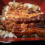 Unagi Akagaki - 