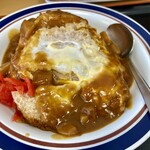 Nadai Fuji Soba Dogenzaka Ten - カレーと綴じカツのハイブリッド