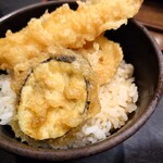 Seishu An Ion Itami Konyo Shopping Center Ten - 小天丼