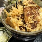 Mugi no Hana Sanuki Udon - セットの天丼