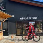 ASOLA BERRY - 