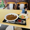 Amor Cafe Terrace - カレーライス(サラダ付)カツ　９００円