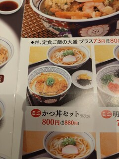 h West Udon Harisuri Ten - カツ丼セット　880円