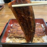 Unagi Saitaniya Yao Ten - 