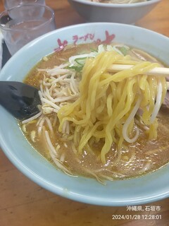 Sapporo Ramen Donya - 味噌ラーメン、麺持ち上げ