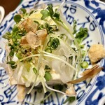 Hamayaki Seafood Izakaya Daishou Suisan Nishiki Ten - ねぎまみれ冷奴400