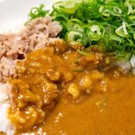 モジャカレー - 料理写真:2024.2 ネギビーフカレー（1,100円）