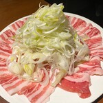 Shabu Shima/Satsuma Kunidori - 