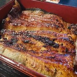 Unagi Akagaki - 