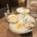 Oyster Bar Jackpot Fuchu - 