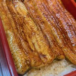 Unagi Hamana - 