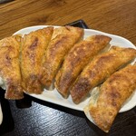 Gyoza Shuka Terui - 