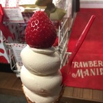 STRAWBERRY MANIA Shinsaibashi Ten - 