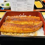 Unagi Kohinata - 