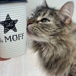 Cat Café MOFF - 