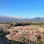 nord - 藤原岳といなべ梅林公園　素晴らしい景色です