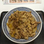 Yoshinoya Odakyu Ebinna Eki Ten - 