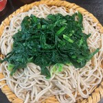 Gen Soba Bunseki An - 