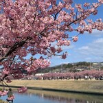 boulangerie Igel - お店の近くの倉敷川沿いの風景