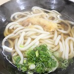 Shohei Udon - 