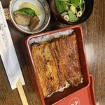 Unagi Hamana - 