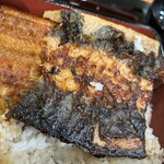 Unagi no Naruse Kadoma Ten - うな重松（一尾）
                      2600円