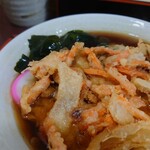 Shinano Oiwake Soba Hatsudai An - 彩りも良い盛り付け。