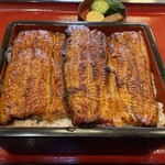 Unagi Kappou Uyagawa - 