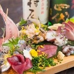 国分寺居酒屋 申喰゛楽 - [鮮魚]築地＆新潟から厳選の獲れたて鮮魚をお造りで