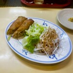 Nankaen - 南香苑定食　春巻き、サラダ、蒸し鶏