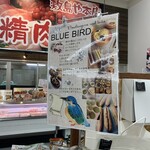 BLUE BIRD - 