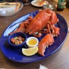 Red Lobster Yamato Ten - 