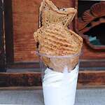 Taiyaki Hiiragi - 