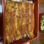 Unagi Hamana - 