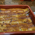 Unagi Hamana - 