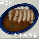 Kanemi Shokuhin Piago Handa Ten - カツカレー