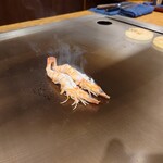 Teppanyaki Steak Restaurant Heki Maki Shi Ten - 久米島産車海老。