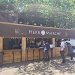 Herb Marche - 