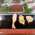 Taro Zushi - 