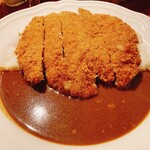 カレーの店 ぷりずむ - ドーン