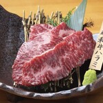 Kiwami Yakiniku Horumon Seiji - 