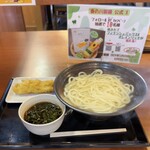 Ka no Kawa Seimen Muko Ten - 釜揚げうどん3玉、かしわ天