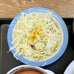 Matsuya Toshimaku Kaname Ten - ポーランド風ミエロニィハンバーグ定食 ¥930 の生野菜